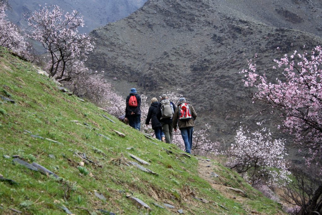 Usbekistan Reisen, Путешествие в Узбекистан, культура и природа, Culture and Nature Tour in Uzbekistan, Voyage Culture et Nature en Ouzbékistan, Viaggi Uzbekistan - Cultura e Natura