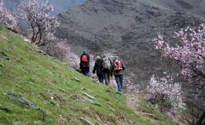 Usbekistan Reisen