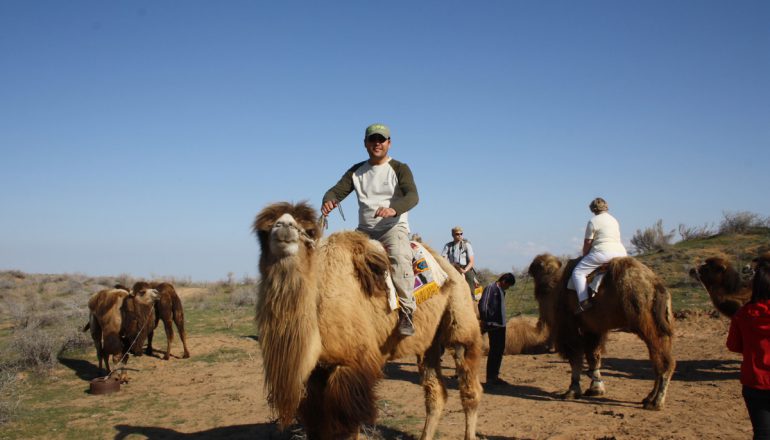 Yurt camp on the Kyzylkum Desert - Uzbekistan